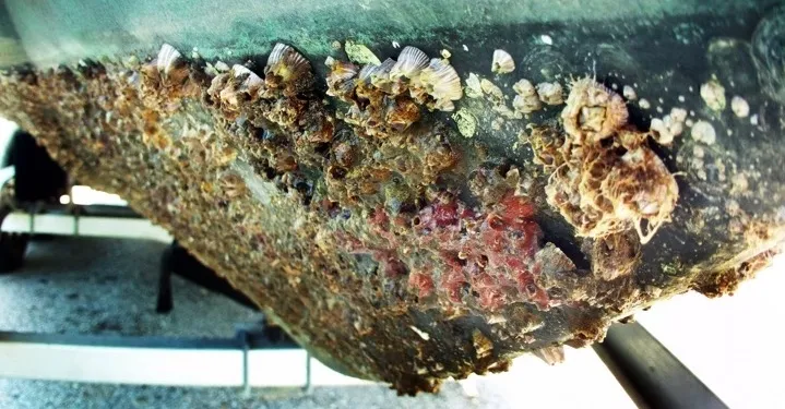 Image: The Power of Focusing on Friction