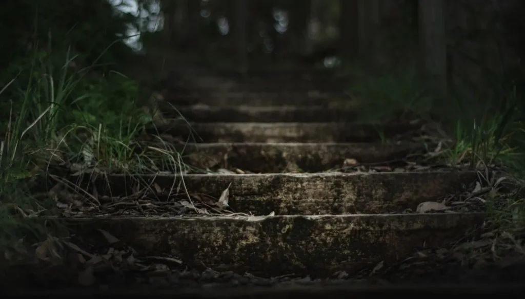 Image: HOW THE PAST PAVES NEW PATHS TO THE FUTURE